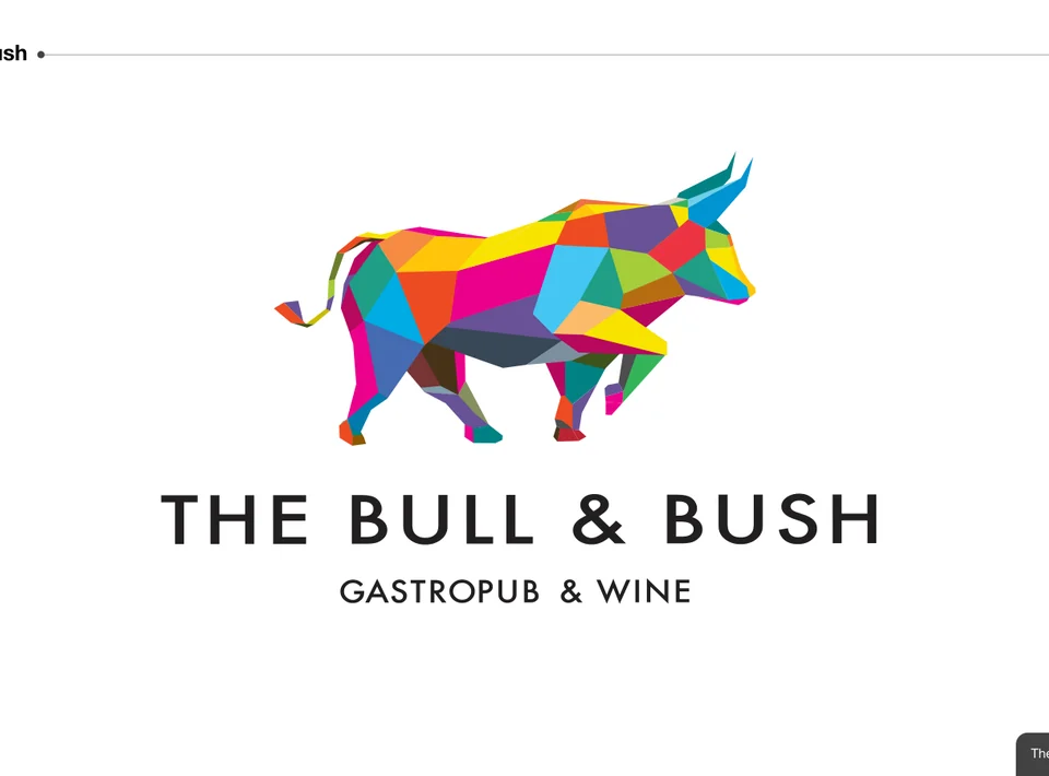 The Bull & Bush portfolio image