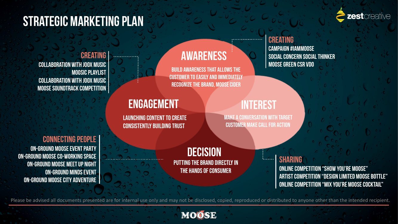 Moose strategic marketing plan diagram